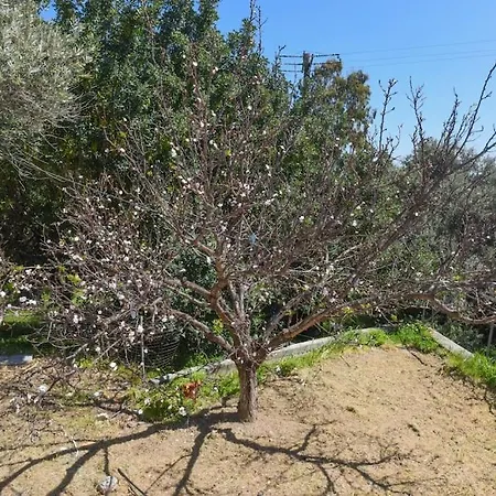 Country House In Limnionas Agia Kiriaki  Exterior photo
