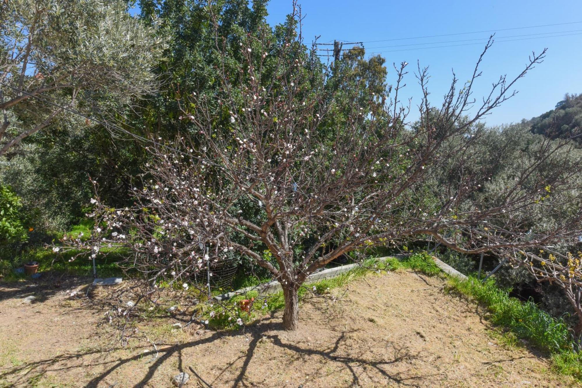 In Limnionas * Agia Kiriaki (Samos)